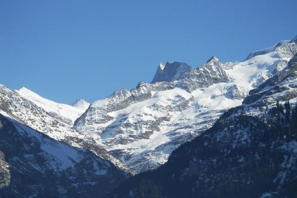 2-Star Griwarent Apartments Grindelwald Habitación foto